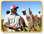 Windfall for Botswana Farmers